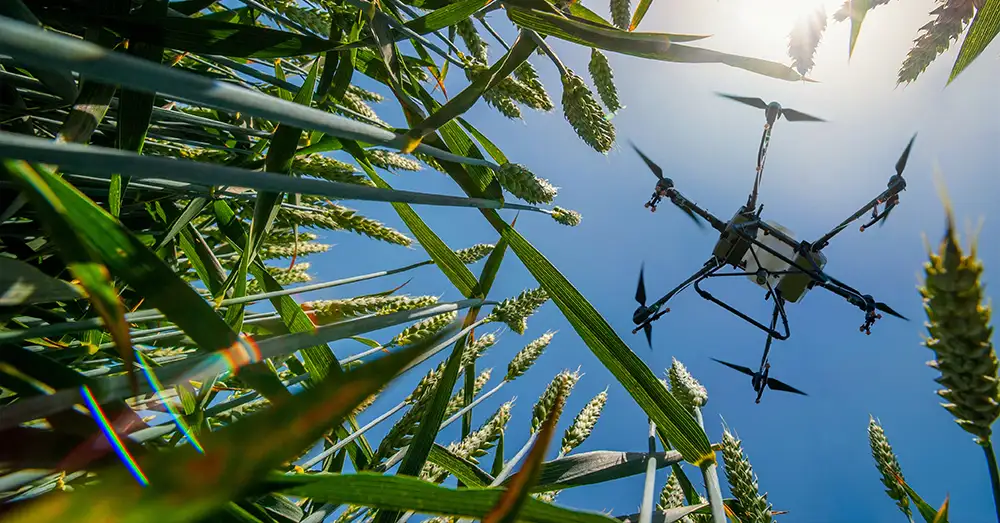 Dofinansowanie na drona rolniczego - wszystko co powinieneś wiedzieć